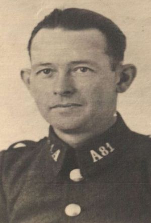 H.A.M. Hendriks
