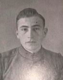 A.M. van Dijk