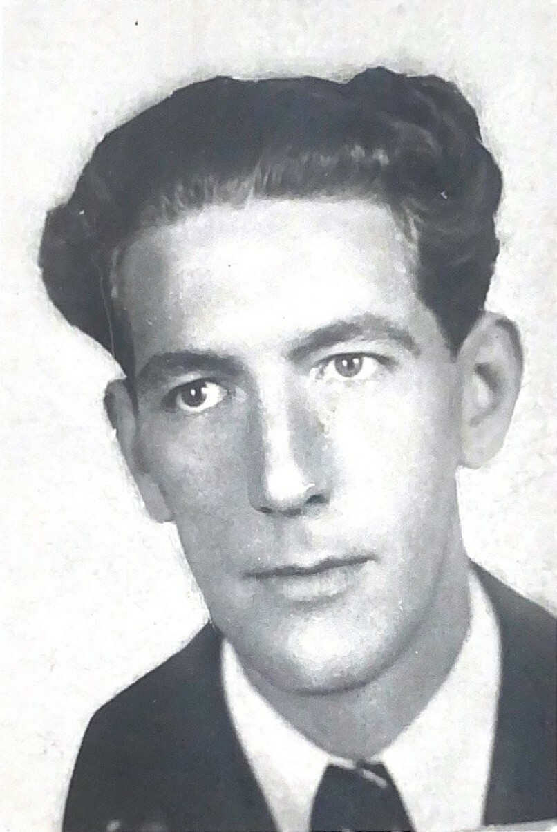 Harrie, Hendrikus Johannes Patist