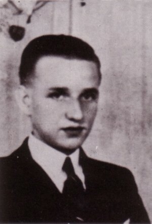 Johannes Willem Veldmeijer