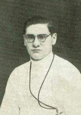 H.J.M. van Hees