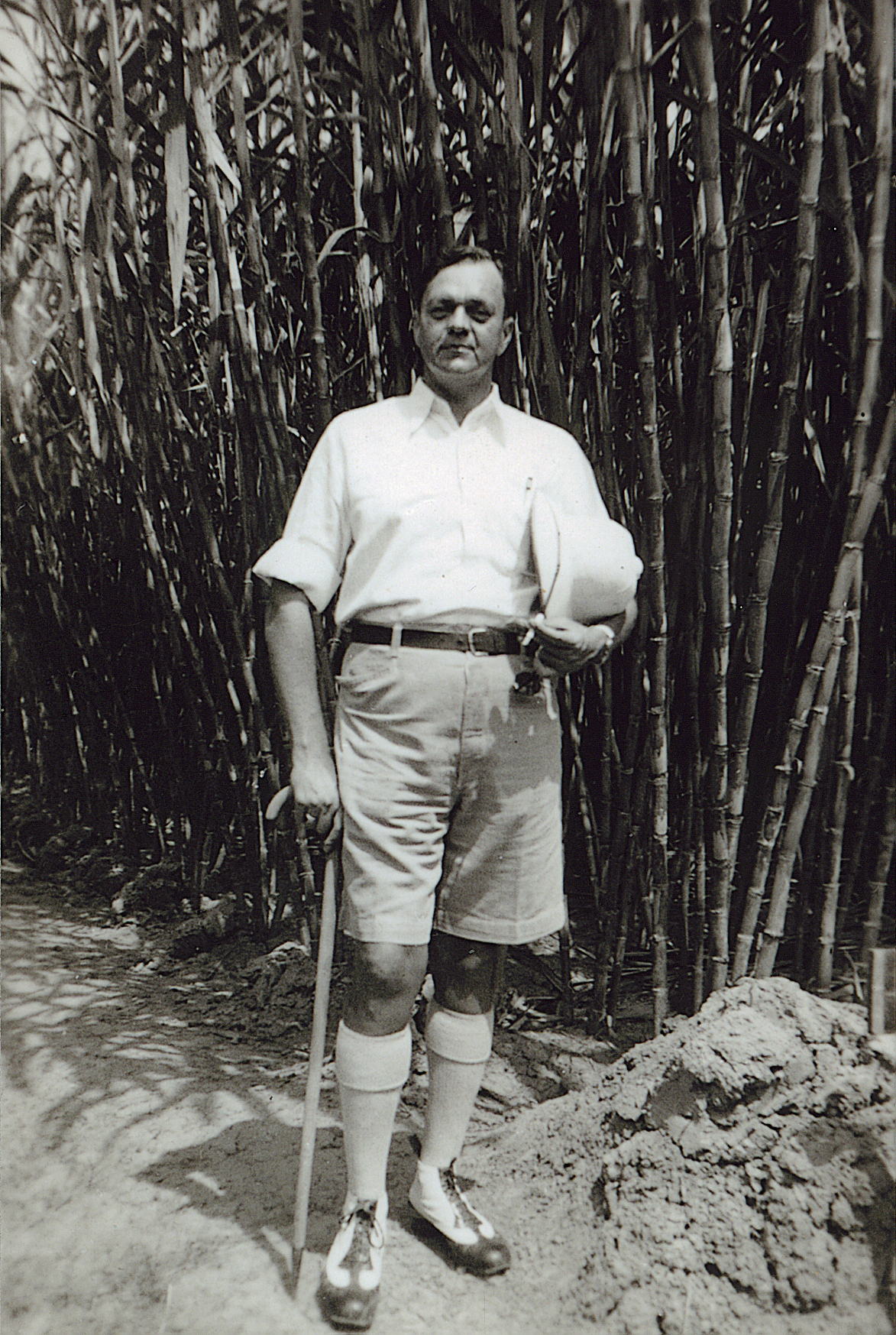 Adolf Brzesowsky