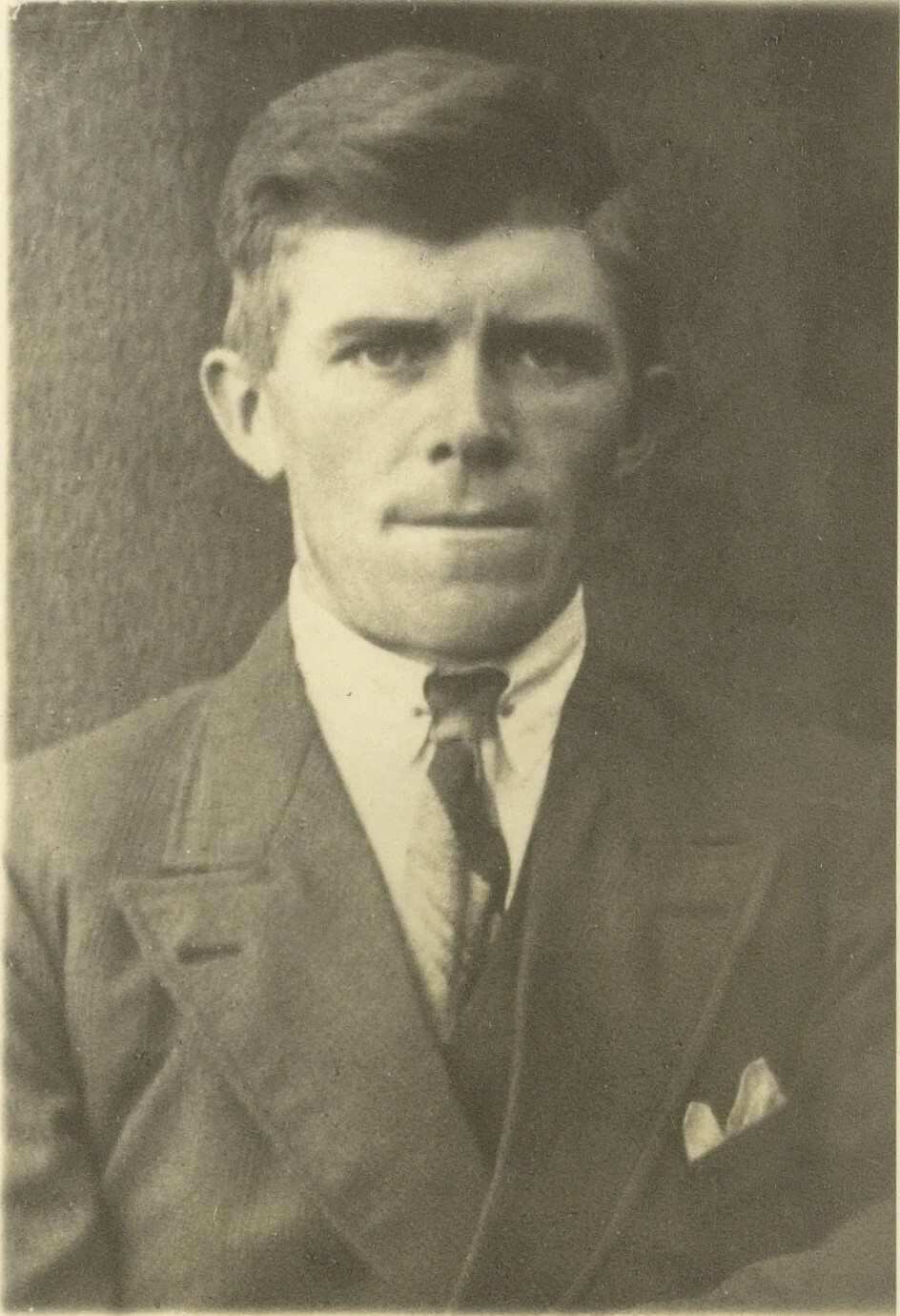 Wilhelmus Hubertus Hoeben