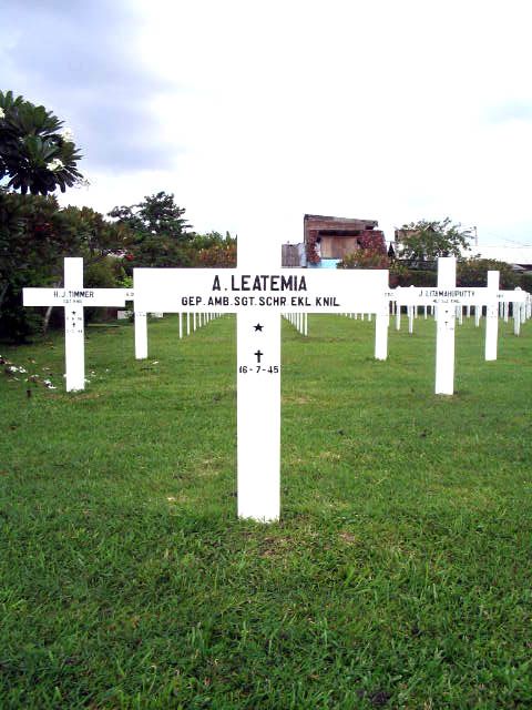 leatemia.a.2005.jpg