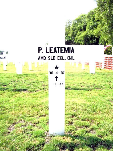 leatemia.p.2005(1).jpg