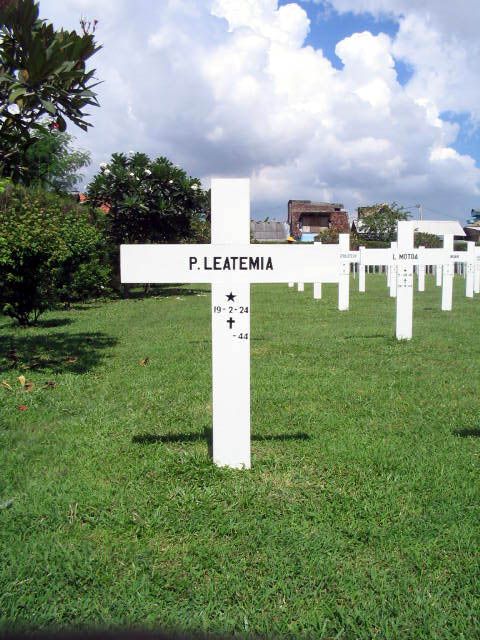 leatemia.p.2005.jpg