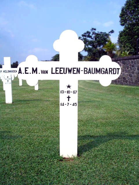 leeuwen.van.baumgardt.a.e.m.2005.jpg