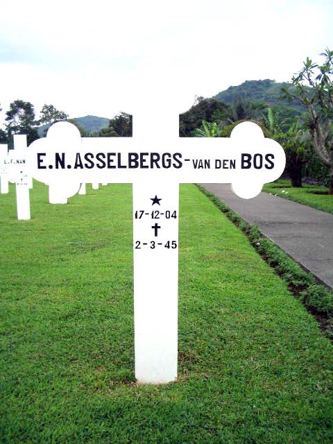 asselbergs.bos.v.den.e.n.2005.jpg