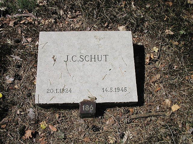 138415.jpg