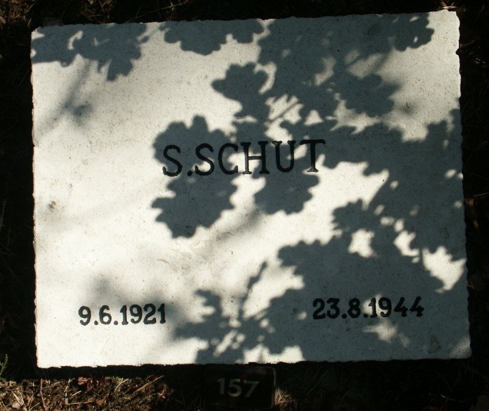 schut.s.jpg