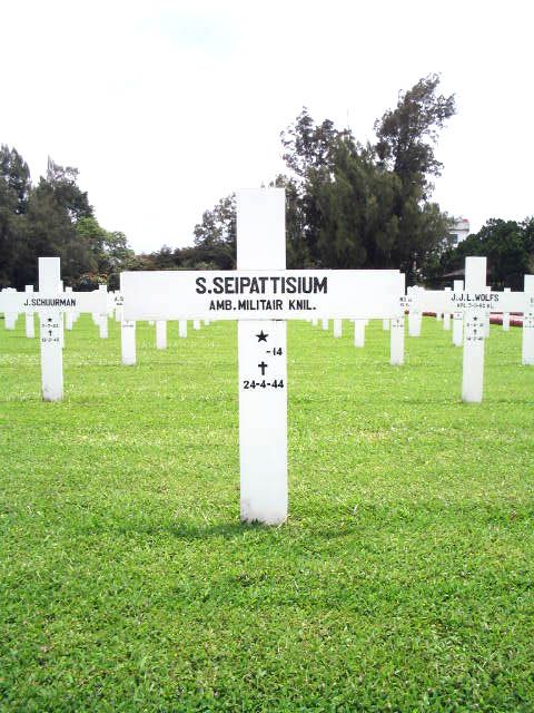 seipattisium.s.2005.jpg