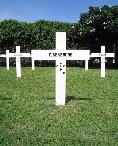 sekerone.f.2005.jpg