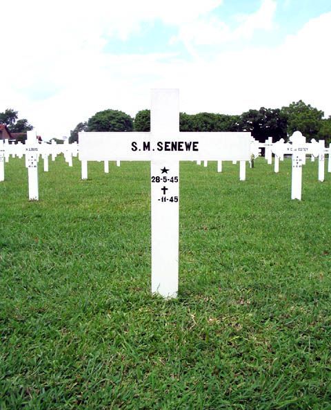 senewe.s.m.2005.jpg