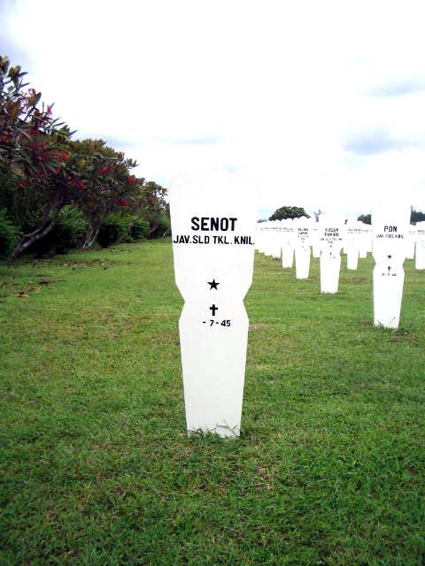 senot.2005.jpg