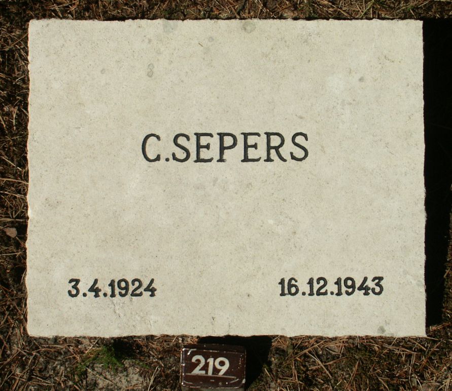 sepers.c.jpg