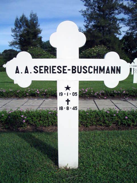 seriese buschmann.a.a.2004.jpg