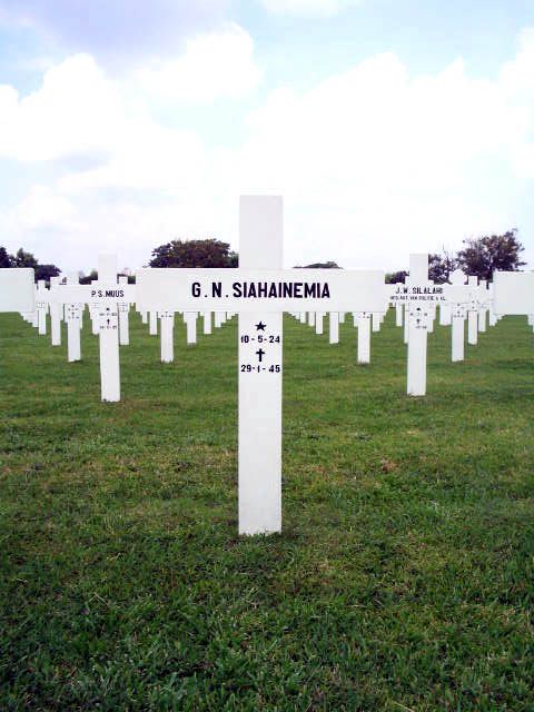 siahainemia.g.n.2005.jpg