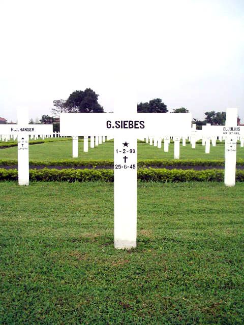 siebes.g.2005.jpg