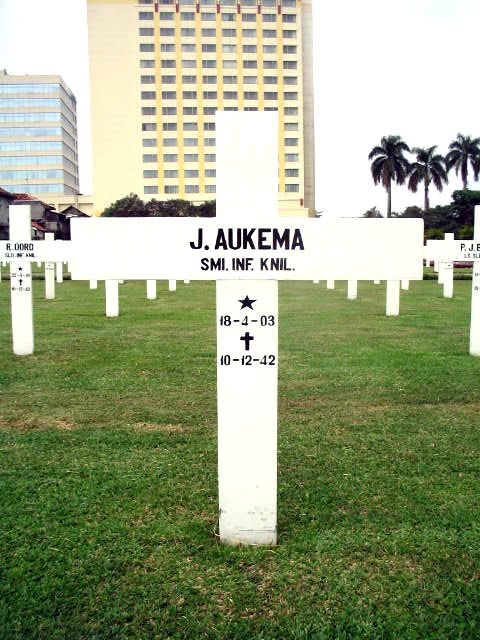 aukema.j.2005.jpg