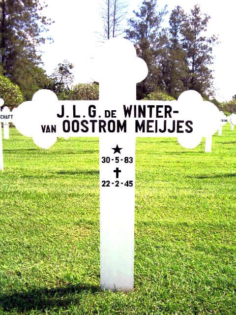 winter.de.van oostrom meijjes.j.l.g.2004.jpg