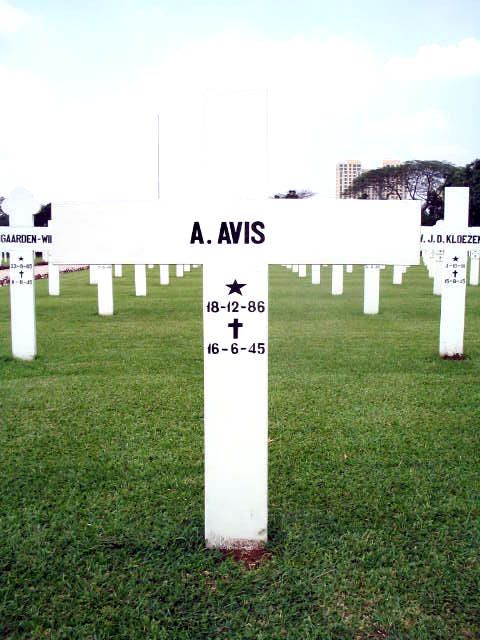 avis.a.2005.jpg