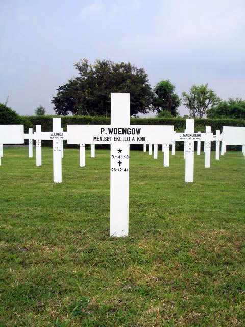 woengow.p.2005.jpg