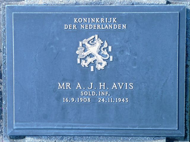 Avis.A.J.H.2008.jpg