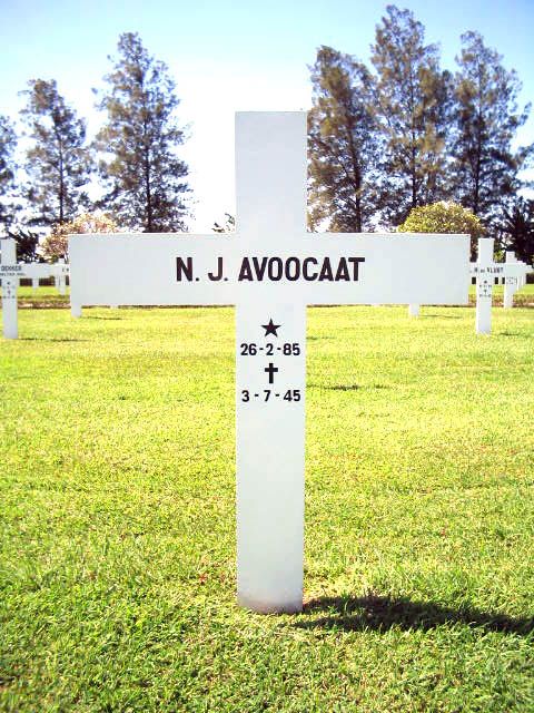 avoocaat.n.j.2004.jpg.JPG