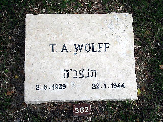 wolff.t.a.2005.jpg