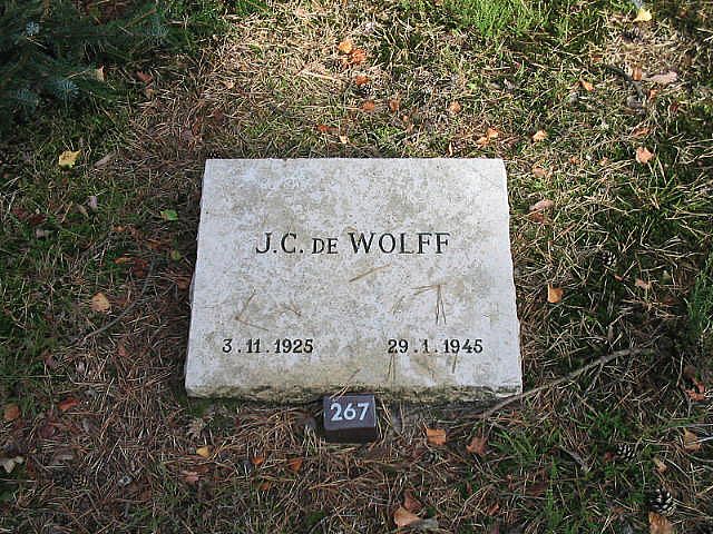 J.C.d.Wolff.jpg