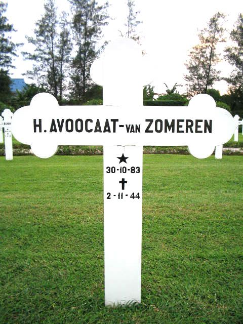 avoocaat zomeren van.h.2004.jpg
