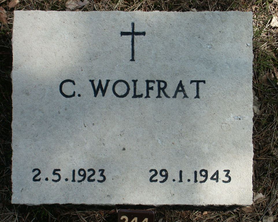 wolfrat.c.jpg