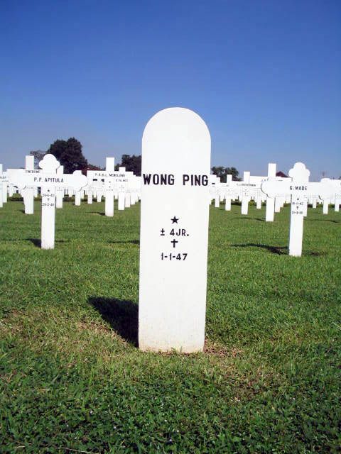 wong ping.2005.jpg