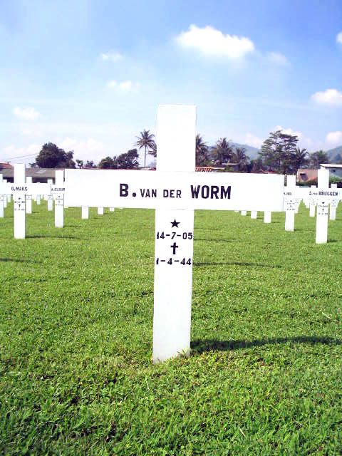 worm.v.der.b.2005.jpg