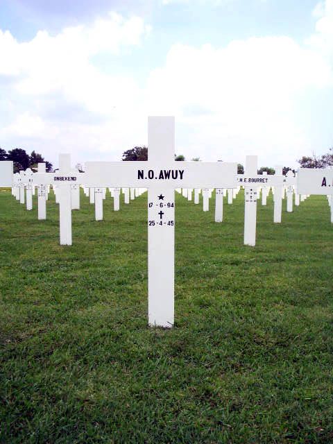 awuy.n.o.2005.jpg