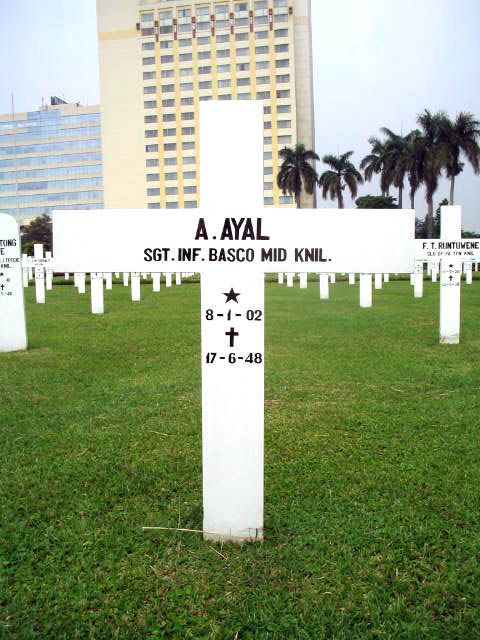 ayal.a.2005.jpg