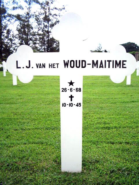 woud van t.maitime.l.j.2004.jpg