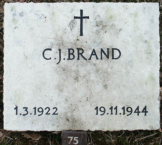 brand.c.j.2006.jpg