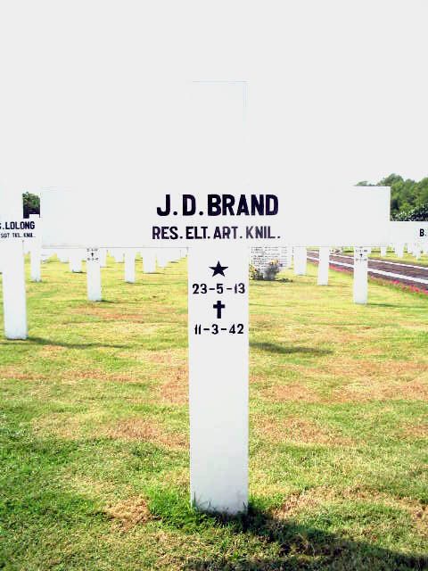 brand.j.d.2005.jpg