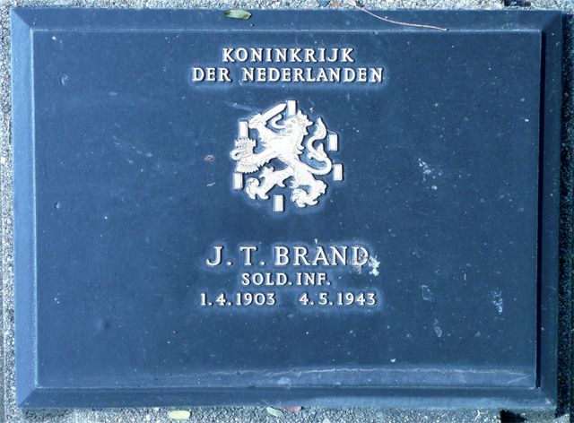 Brand.J.T.2008.jpg