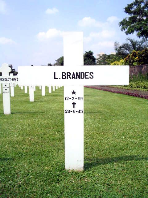 brandes.l.2005.jpg