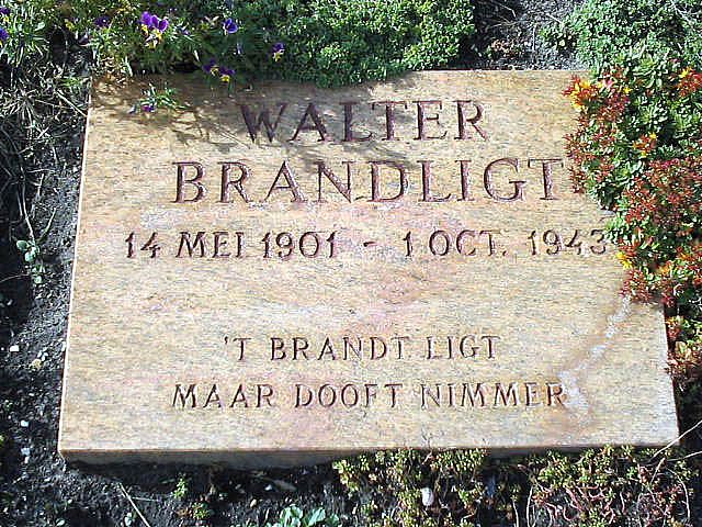 brandligt.w.2004.jpg