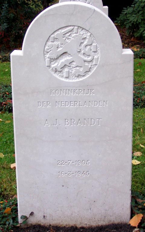 Brandt A.J.jpg