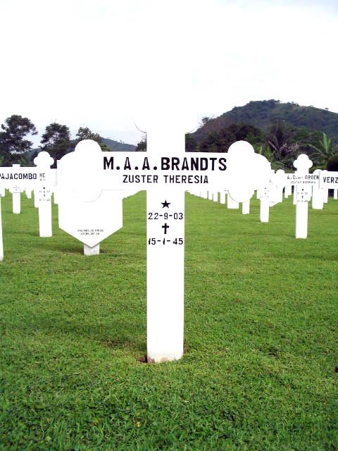 brandts.m.a.a.2005.jpg