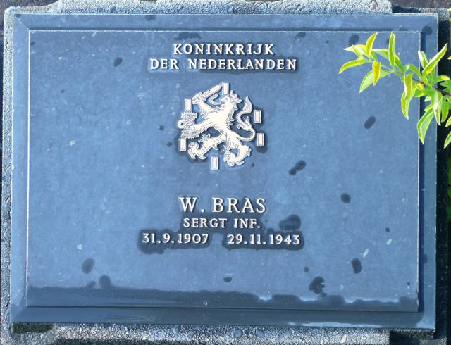 Bras.W.2008.jpg