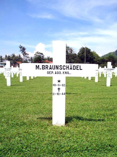 braunschadel.m.2005.jpg