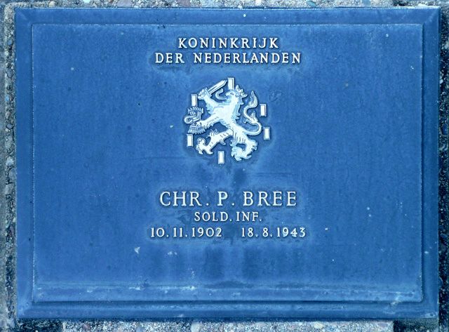 Bree.C.P.2008.jpg