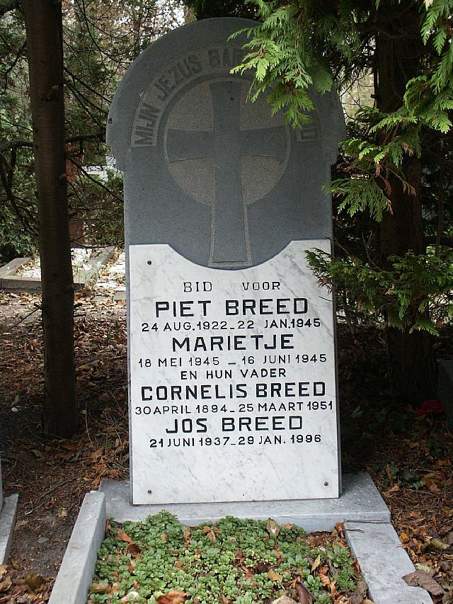 Breed.JPG