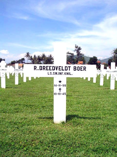 breedveldt boer.r.2005.jpg
