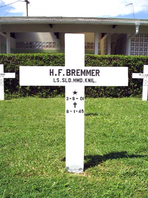 bremmer.h.f.2005.jpg
